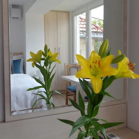 Apartman Deluxe Bellevue