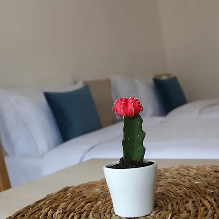 Deluxe Bellevue Apartman Sarajevo